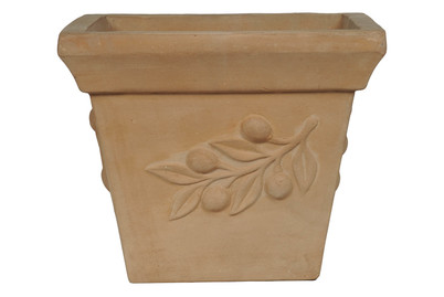 Image of Oliventopf Eckig Antonio Choco bei JUMBO