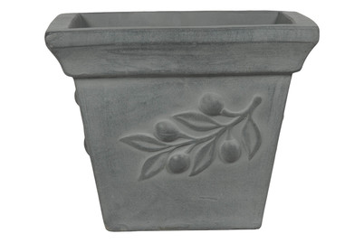 Image of Oliventopf Eckig Antonio Grau bei JUMBO