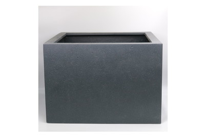 Image of Pflanzenkiste YUL bei JUMBO