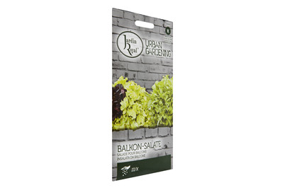 Image of Balkon-Salate bei JUMBO