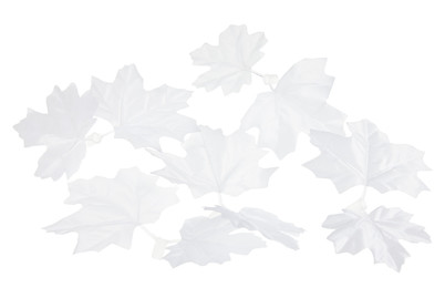 Image of Mood Ahornblätter Weiss bei JUMBO