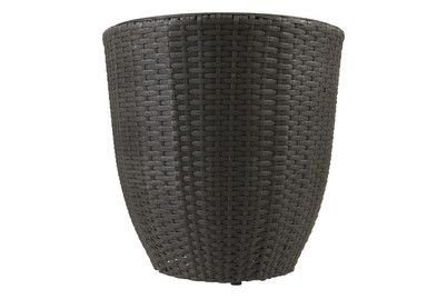 Image of Blumentopf Fuerteventura bei JUMBO