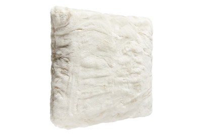 Image of Kissen Chinchilla bei JUMBO