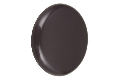 Image of Max Hauri AG Deckenrosette mit Flachdübel bei JUMBO