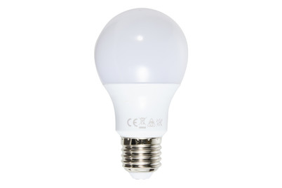 Image of GO ON LED-Leuchtmittel E27 806 LM bei JUMBO