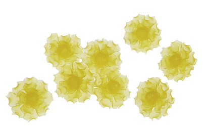 Image of Mood LED-Blüten zum Aufstecken Gelb 40 LED