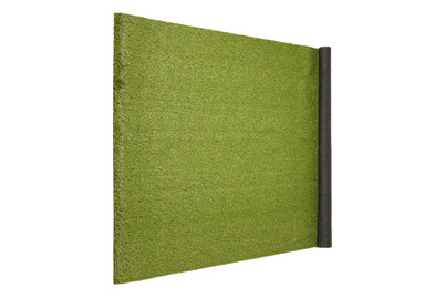 Image of Kunstrasen Serena bei JUMBO