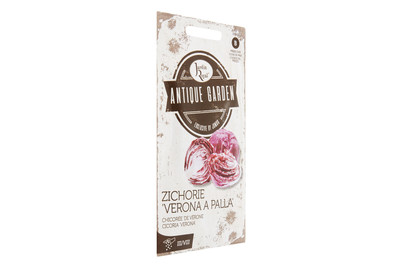 Image of Zichorie bei JUMBO