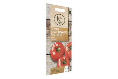Image of Bio Tomate
