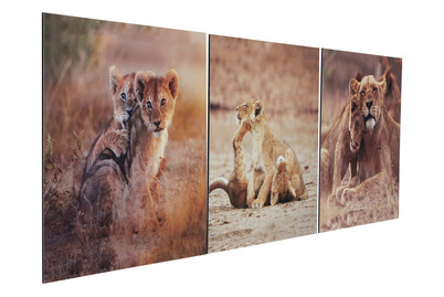 Image of Wandbild-Set Deco Panel bei JUMBO