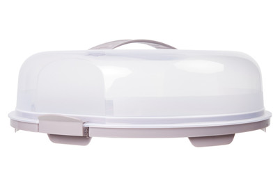 Image of Tortenglocke flach Fresh Nordic purple bei JUMBO