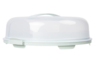 Image of Tortenglocke flach Fresh Glacier green bei JUMBO