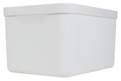 Image of Box Jive Weiss bei JUMBO