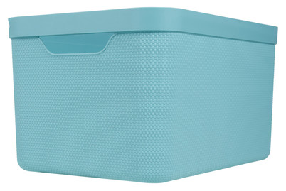 Image of Box Jive bei JUMBO