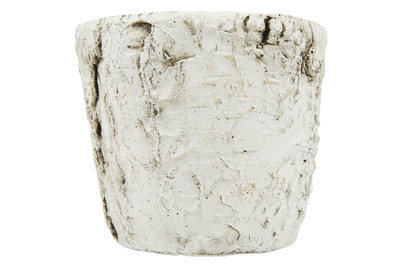 Image of Topf Beton Birke D:13/H:11Cm bei JUMBO