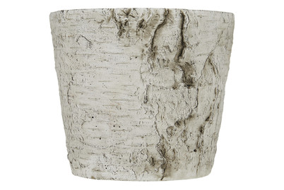 Image of Topf Beton Birke D:16/H:14Cm bei JUMBO