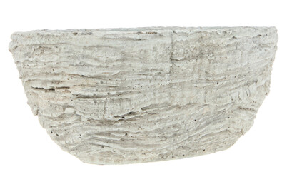 Image of Pflanzschale Beton Oval 23x13.5x9cm bei JUMBO