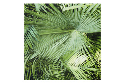 Image of Glorex Design Tapete bei JUMBO