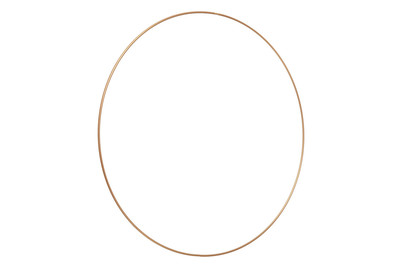 Image of Metallring 50 cm bei JUMBO