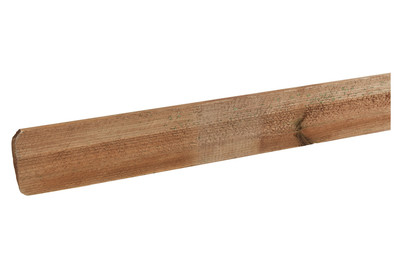 Image of Halbrundriegel bei JUMBO