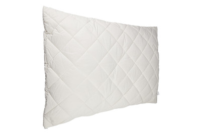 Image of Billerbeck Kissen John bei JUMBO