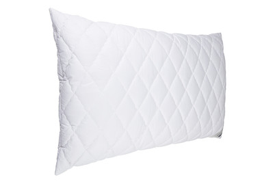 Image of Billerbeck Kissen Jolin bei JUMBO