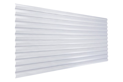 Image of Colibri Wellplatte Transparent bei JUMBO