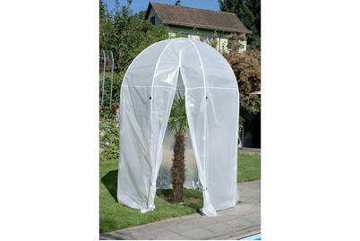 Image of Colibri Palmenschutzhaus M bei JUMBO