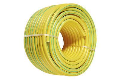 Image of Jardin Royal Wasserschlauch Mimosa bei JUMBO