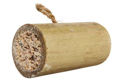 Image of Bambusrohr mit Fettfutter bei JUMBO