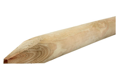 Image of Palisade Gespitzt grün. 75x8cm bei JUMBO