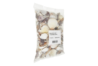 Image of Muscheln natur, Beutel 1.2kg bei JUMBO