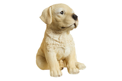 Image of Vivid Labradorwelpe Braun bei JUMBO