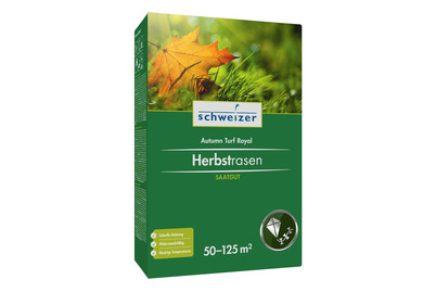 Image of Herbstrasen bei JUMBO