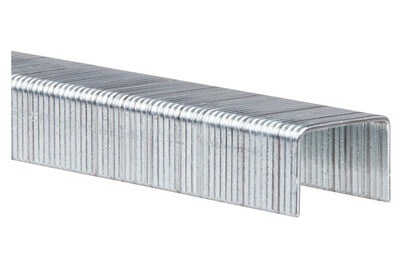 Image of Rapid Heftklammern 53/8 mm bei JUMBO