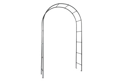 Image of Rosenbogen bei JUMBO