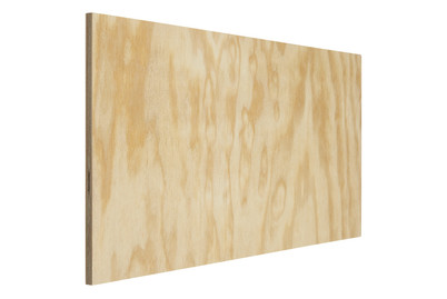 Image of Sperrholz Seekiefer 12 x 300 x 600 mm bei JUMBO