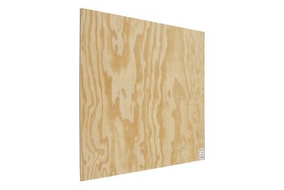 Image of Sperrholz Seekiefer 15 x 600 x 600 mm bei JUMBO