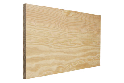 Image of Sperrholz Seekiefer 15 x 300 x 600 mm bei JUMBO