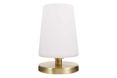 Image of Tischlampe SON LED messing matt bei JUMBO