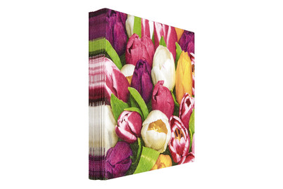 Image of Servietten Tulips 33x33cm bei JUMBO