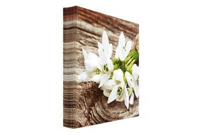 Image of Servietten Snowdrop bei JUMBO