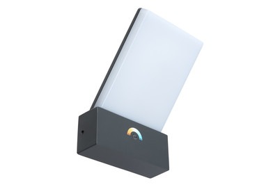 Image of Aussenstehlampe Pano 19 cm LED anthrazit 16 W bei JUMBO