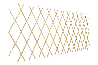 Image of Gitterspalier Bambus