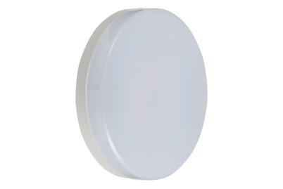 Image of Star Trading LED Leuchtmittel Gx53 Spotlight Basic bei JUMBO