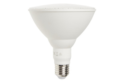 Image of Star Trading LED-Leuchtmittel E27 Par38 bei JUMBO