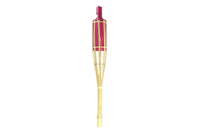 Image of Bambusfackel Rosa bei JUMBO