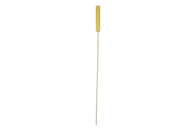 Image of Citronella-Fackel bei JUMBO