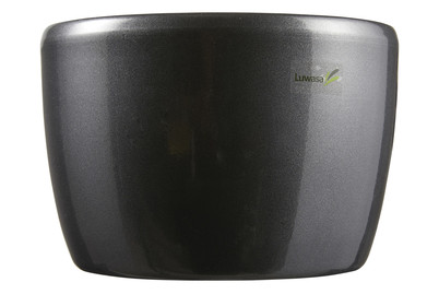 Image of Übertopf Venus bei JUMBO