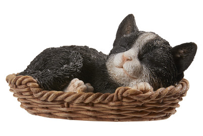 Image of Vivid Kätzchen Schwarz/Weiss im Körbchen bei JUMBO